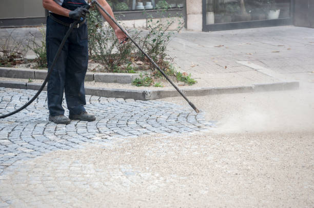 Best Driveway Pressure Washing  in Hartington, NE