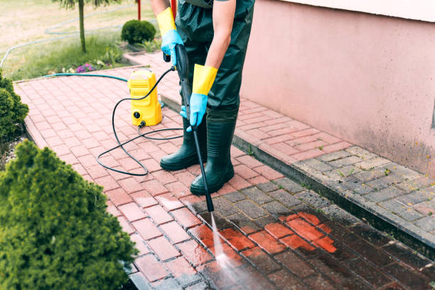 Animal Enclosure Cleaning in Hartington, NE